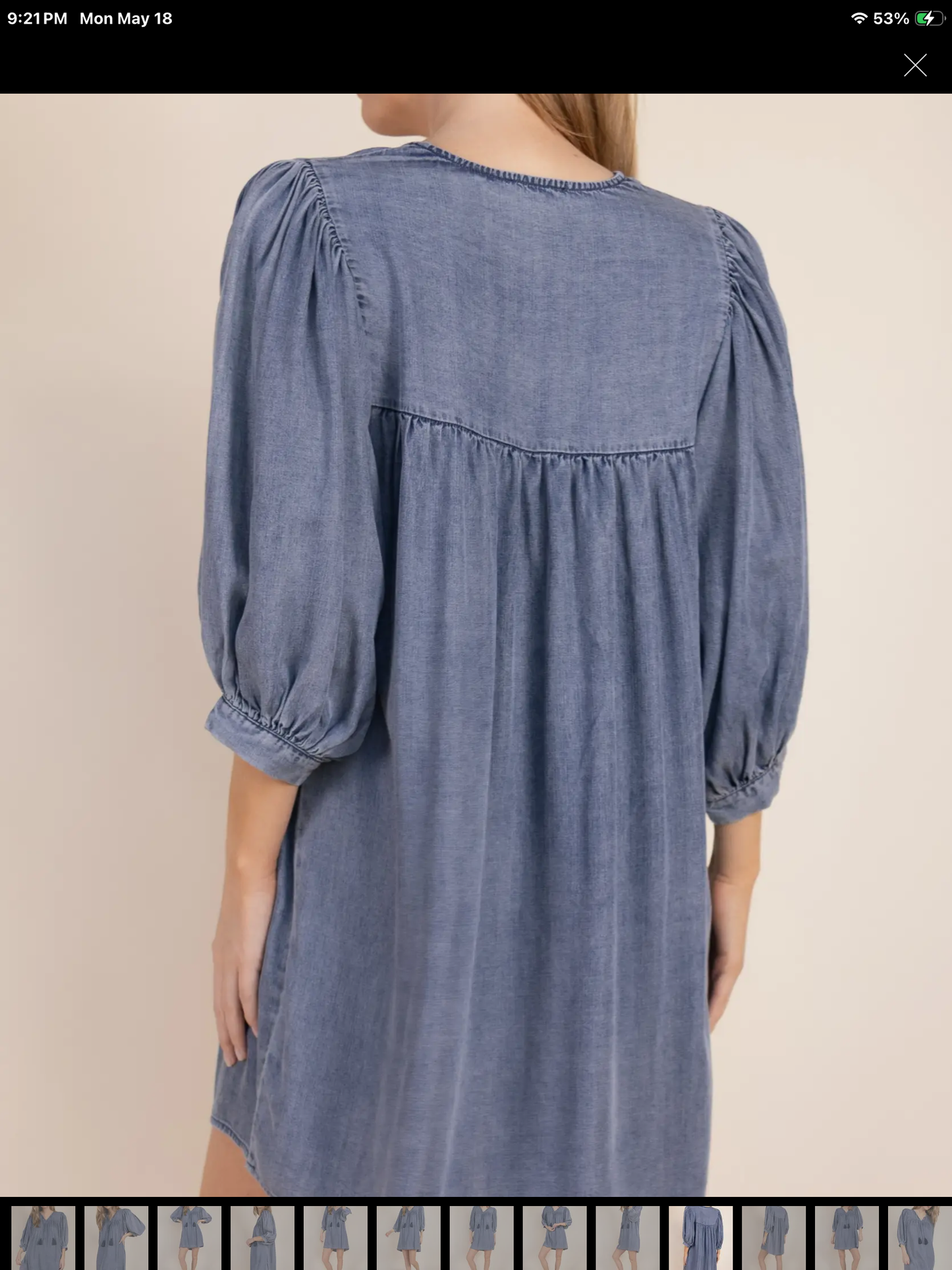 Tencel Billowy Sleeve Dress