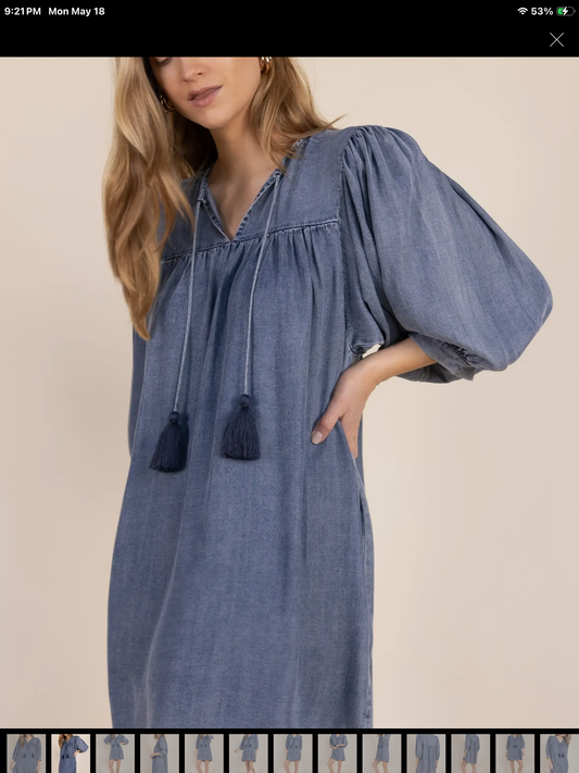 Tencel Billowy Sleeve Dress